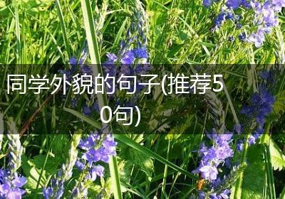同学外貌的句子(推荐50句)