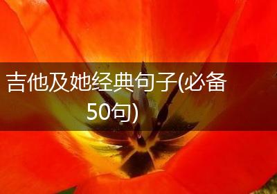吉他及她经典句子(必备50句)