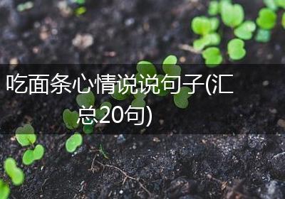 吃面条心情说说句子(汇总20句)