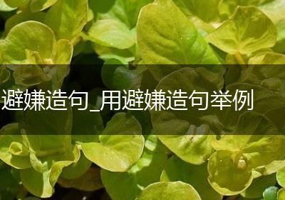 避嫌造句_用避嫌造句举例