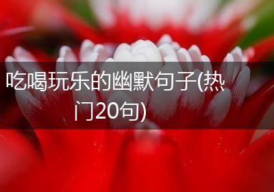 吃喝玩乐的幽默句子(热门20句)