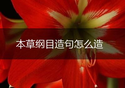 本草纲目造句怎么造