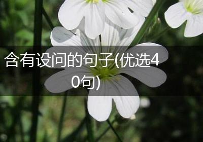 含有设问的句子(优选40句)