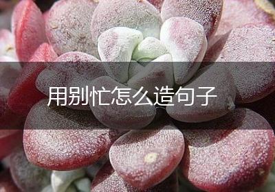 用别忙怎么造句子