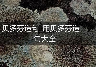 贝多芬造句_用贝多芬造句大全