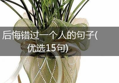 后悔错过一个人的句子(优选15句)