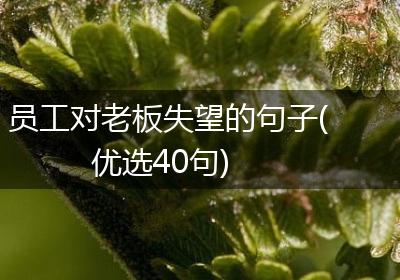 员工对老板失望的句子(优选40句)