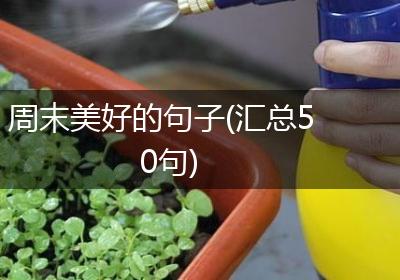 周末美好的句子(汇总50句)