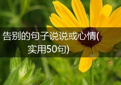 告别的句子说说或心情(实用50句)
