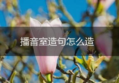播音室造句怎么造