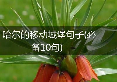 哈尔的移动城堡句子(必备10句)