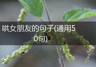 哄女朋友的句子(通用50句)