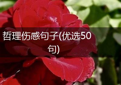 哲理伤感句子(优选50句)