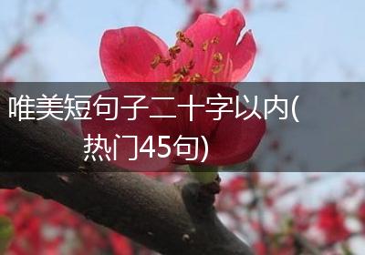 唯美短句子二十字以内(热门45句)