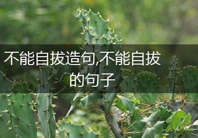 不能自拔造句,不能自拔的句子