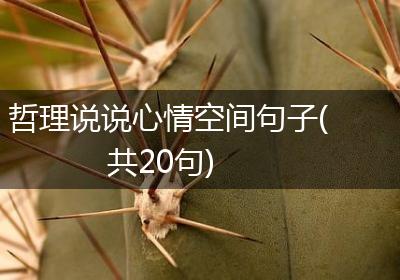 哲理说说心情空间句子(共20句)