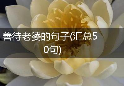 善待老婆的句子(汇总50句)