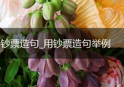 钞票造句_用钞票造句举例