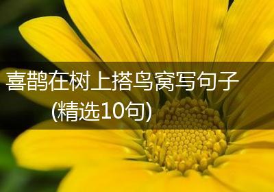 喜鹊在树上搭鸟窝写句子(精选10句)