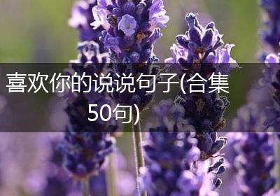 喜欢你的说说句子(合集50句)