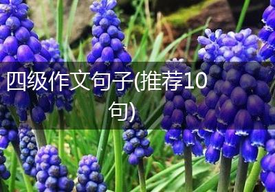 四级作文句子(推荐10句)