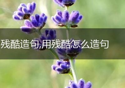 残酷造句,用残酷怎么造句
