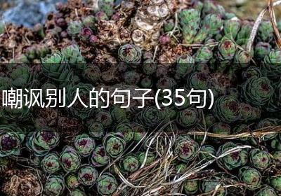 嘲讽别人的句子(35句)