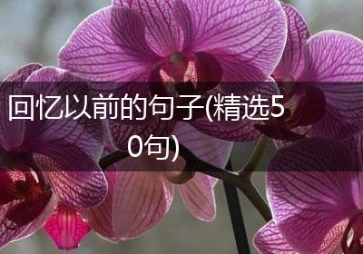 回忆以前的句子(精选50句)