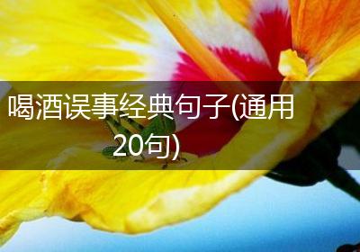 喝酒误事经典句子(通用20句)