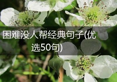 困难没人帮经典句子(优选50句)