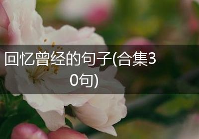 回忆曾经的句子(合集30句)