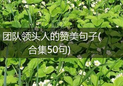 团队领头人的赞美句子(合集50句)