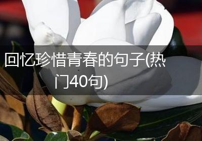 回忆珍惜青春的句子(热门40句)