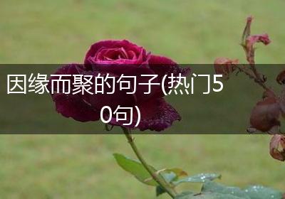 因缘而聚的句子(热门50句)
