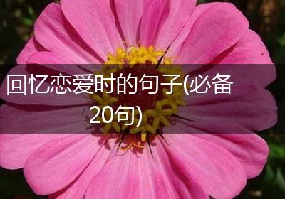 回忆恋爱时的句子(必备20句)