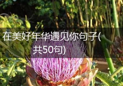 在美好年华遇见你句子(共50句)
