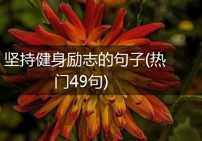坚持健身励志的句子(热门49句)