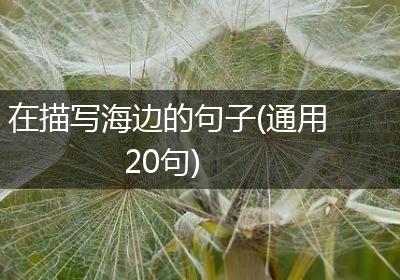 在描写海边的句子(通用20句)