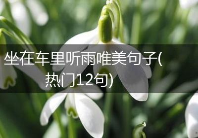 坐在车里听雨唯美句子(热门12句)