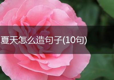 夏天怎么造句子(10句)