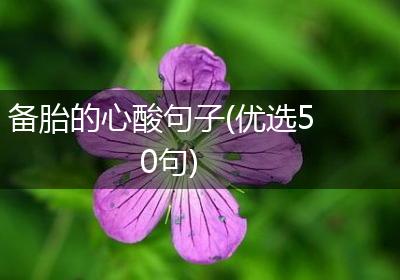 备胎的心酸句子(优选50句)