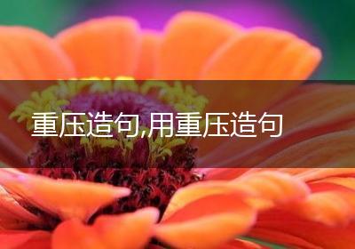 重压造句,用重压造句