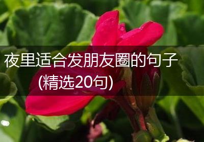 夜里适合发朋友圈的句子(精选20句)