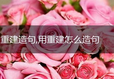 重建造句,用重建怎么造句