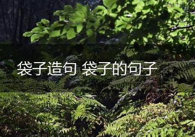 袋子造句 袋子的句子