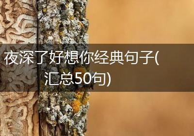 夜深了好想你经典句子(汇总50句)