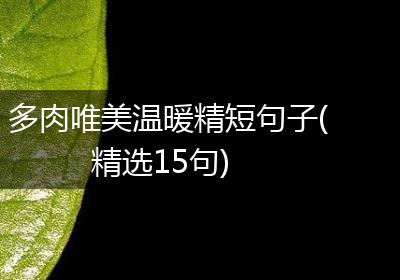 多肉唯美温暖精短句子(精选15句)