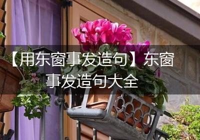 【用东窗事发造句】东窗事发造句大全
