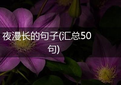夜漫长的句子(汇总50句)