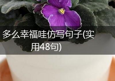 多么幸福哇仿写句子(实用48句)